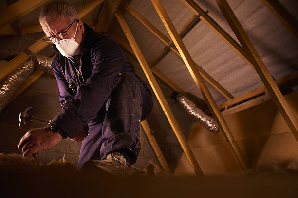 Best Energy Efficiency Solutions in Applewood, CO