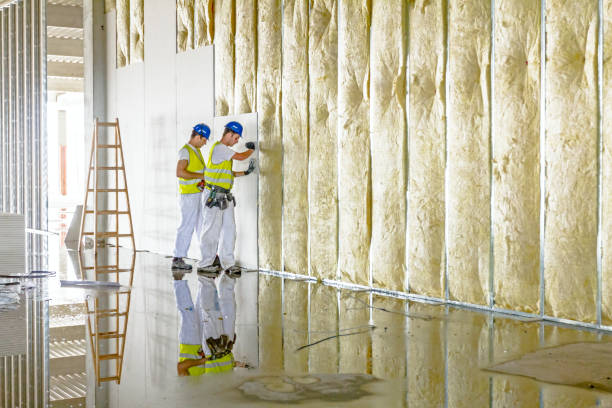 Best Commercial Insulation in Applewood, CO